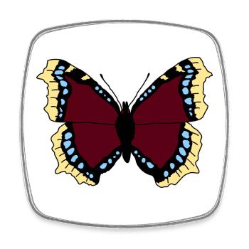 Papillon - manteau de deuil - Magnet carré - blanc - Devant
