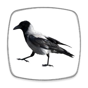 Un petit pas par un corbeau - Magnet carré - blanc - Devant
