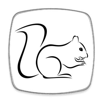 Eichhörnchen - Viereckiger Kühlschrankmagnet - Weiß - Vorne