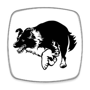 Border Collie - Magnet carré - blanc - Devant
