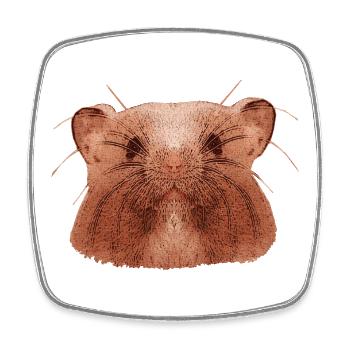 süße haustierdesigns, hamstergesicht, nagetiere - Viereckiger Kühlschrankmagnet - Weiß - Vorne