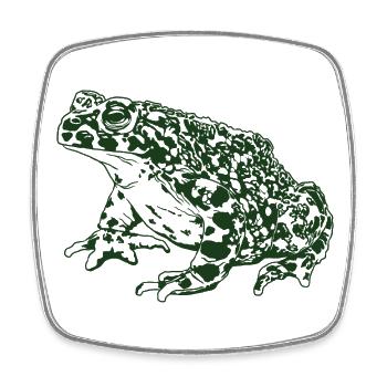 Krötenfrosch Grafik Aquatische Amphibienfrosch Liebhaber - Viereckiger Kühlschrankmagnet - Weiß - Vorne
