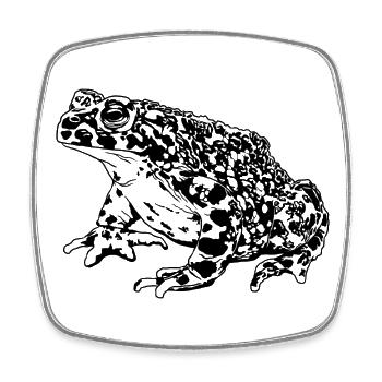 Toad Frog Graphic Aquatic Amphibian Frog Lovers - Square fridge magnet - white - Front