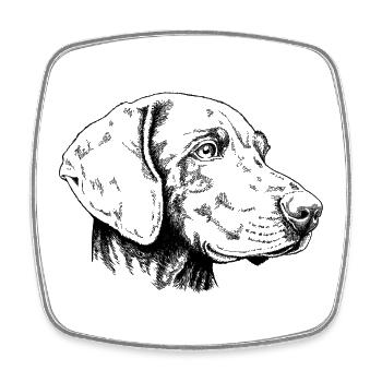 Weimaraner Portrait s - Viereckiger Kühlschrankmagnet - Weiß - Vorne