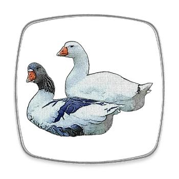zwei Gänse, wasservögel, süße tiermotive - Viereckiger Kühlschrankmagnet - Weiß - Vorne