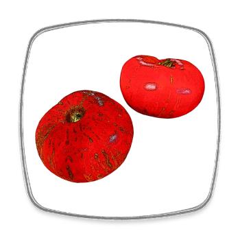 Tomaten in Ölfarboptik, Küche, Vegetarier - Viereckiger Kühlschrankmagnet - Weiß - Vorne