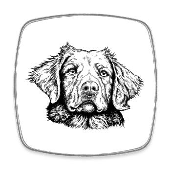Nova-Scotia-Duck-Tolling-Retriever - Viereckiger Kühlschrankmagnet - Weiß - Vorne