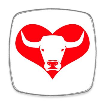 Un cœur pour les taureaux, les bovins, les vaches - Magnet carré - blanc - Devant