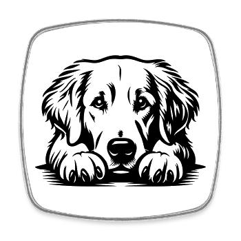 Golden Retriever Head with Paws - Square fridge magnet - white - Front