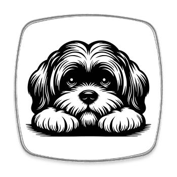 Lhasa Apso Kopf mit Pfoten - Viereckiger Kühlschrankmagnet - Weiß - Vorne
