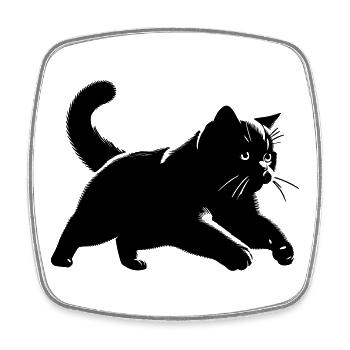Chat British Shorthair - Magnet carré - blanc - Devant