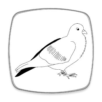 Dove - graphique en noir et blanc - Magnet carré - blanc - Devant