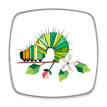 Caterpillar in bright green tones on a flower branch - Square fridge magnet - white - Front