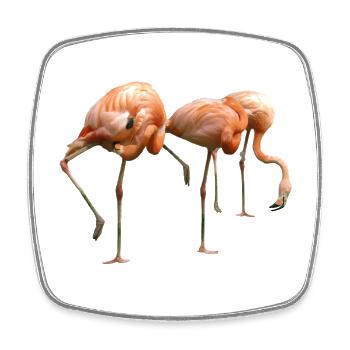 Flamingo - Viereckiger Kühlschrankmagnet - Weiß - Vorne