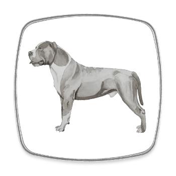 Staffordshire Bull Terrier - Square fridge magnet - white - Front