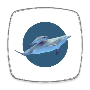 Delfin - Viereckiger Kühlschrankmagnet - Weiß - Vorne