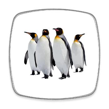 Penguins - Square fridge magnet - white - Front