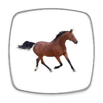Cheval - Magnet carré - blanc - Devant