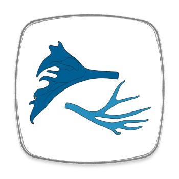 Antlers of the deer - Square fridge magnet - white - Front