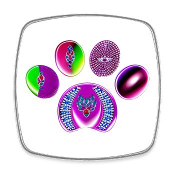 Imprimé cercle de bijoux fluo - Magnet carré - blanc - Devant