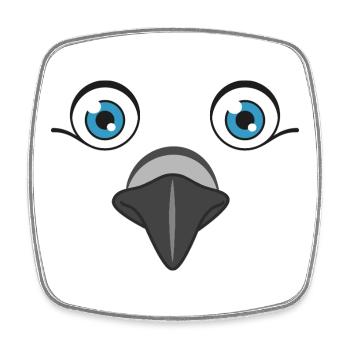 Adorable Tête de Colombe Amoureux des oiseaux Pigeon Peace Art graphique - Magnet carré - blanc - Devant