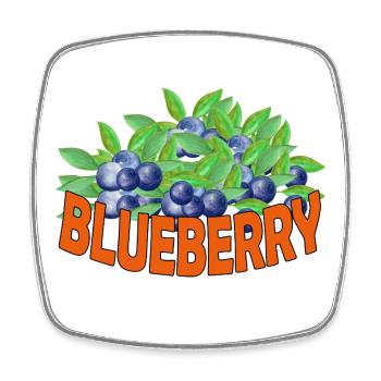 BLUEBERRY - Viereckiger Kühlschrankmagnet - Weiß - Vorne
