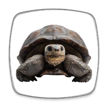 Tortue – calme, force, constance - Magnet carré - blanc - Devant