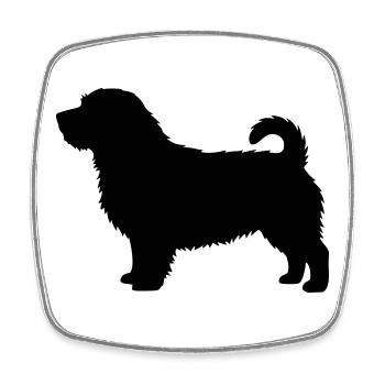 Norfolk-Terrier-Silhouette - Viereckiger Kühlschrankmagnet - Weiß - Vorne
