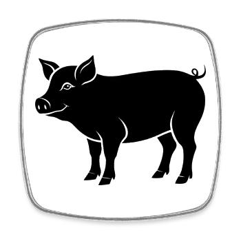 Schwein - Viereckiger Kühlschrankmagnet - Weiß - Vorne