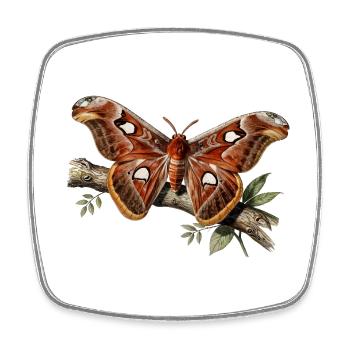 Attacus-Motte - Viereckiger Kühlschrankmagnet - Weiß - Vorne