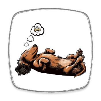 Long-haired Dachshund Dachshund Holder Dachshund Tekkel - Square fridge magnet - white - Front