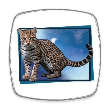 Blue Leopard Bokeh - Square fridge magnet - white - Front