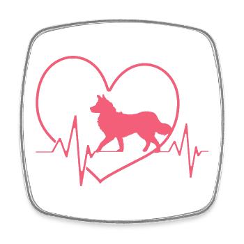 Border Collie - Viereckiger Kühlschrankmagnet - Weiß - Vorne