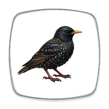 Oiseau Stellaire - Magnet carré - blanc - Devant