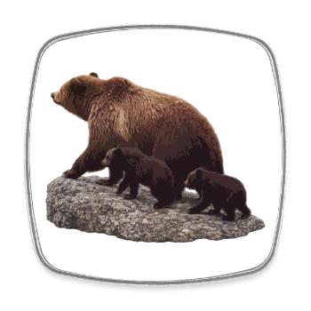 Mutterbär mit dem Jungen auf dem Felsen - Viereckiger Kühlschrankmagnet - Weiß - Vorne