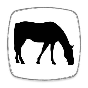 Horse - Square fridge magnet - white - Front