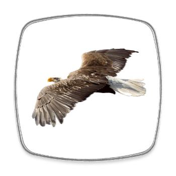 Adler - Viereckiger Kühlschrankmagnet - Weiß - Vorne