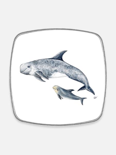 Risso - Grampus Dolphin - Dauphin Risso - Magnet carré - blanc