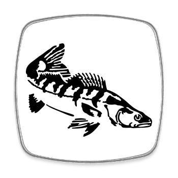 zander - Square fridge magnet - white - Front