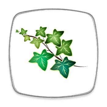 Ivy tendril with white border - White green ivy - Square fridge magnet - white - Front