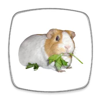 Meerschweinchen Rossi 2 - Viereckiger Kühlschrankmagnet - Weiß - Vorne
