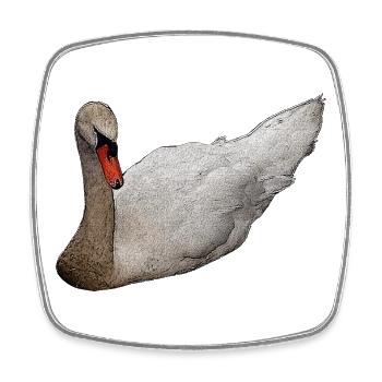 Geschenk für frauen, Höckerschwan schwimmend - Viereckiger Kühlschrankmagnet - Weiß - Vorne