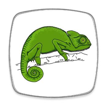 Chameleon green - Square fridge magnet - white - Front