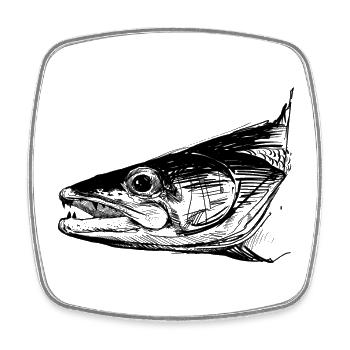 Zander - Zander Fishing - Favorite Fish - Square fridge magnet - white - Front