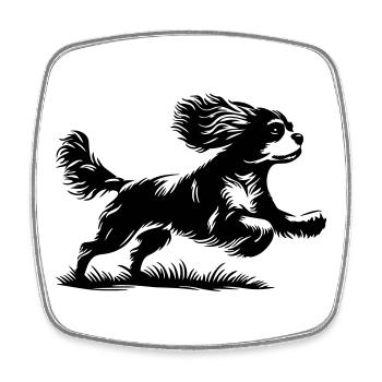 Cavalier King Charles Spaniel - Magnet carré - blanc - Devant