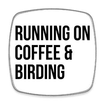 Birding Birding Birding - Square fridge magnet - white - Front