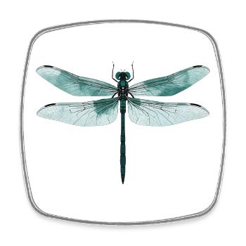 Libelle. Libelle - Libelle - Libelle - Viereckiger Kühlschrankmagnet - Weiß - Vorne
