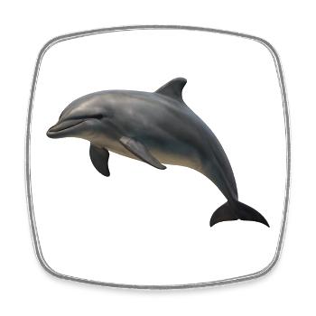 Dolphin in soft shades - Square fridge magnet - white - Front