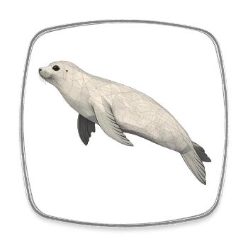 Geometric Seal - Square fridge magnet - white - Front