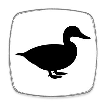 Duck - Square fridge magnet - white - Front